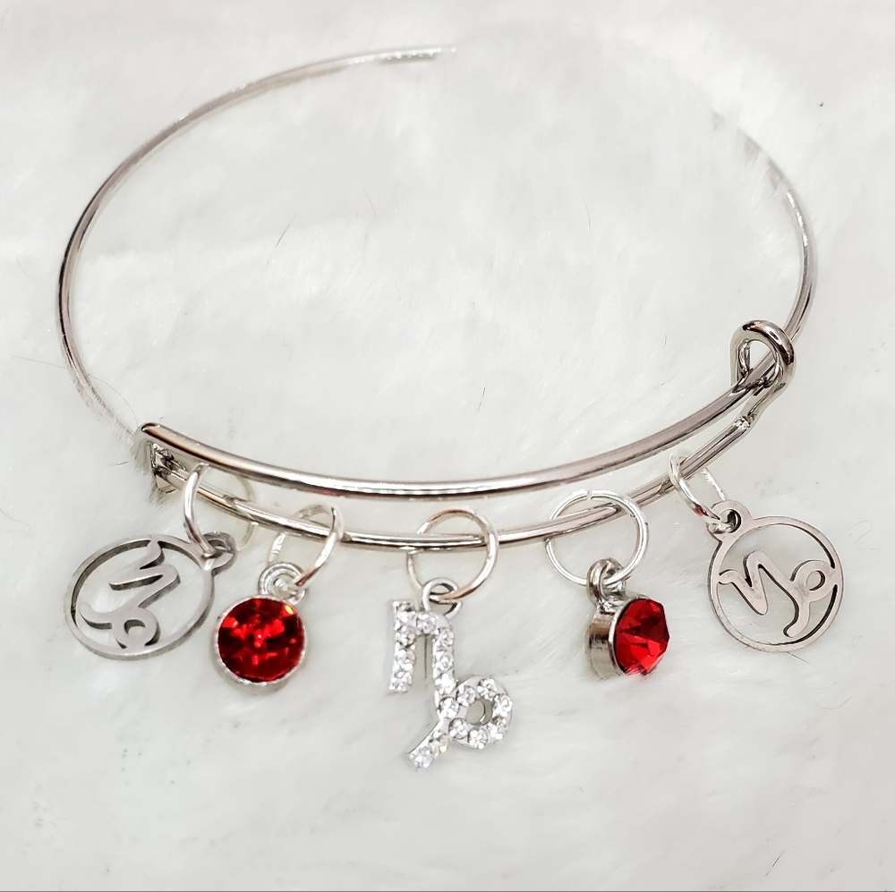 Capricorn Charm Bracelet